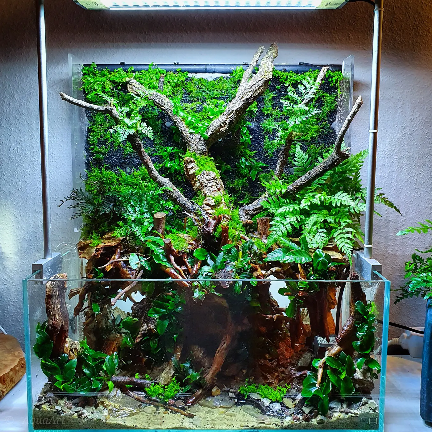 造景 119：绿色沼泽造景图片 9