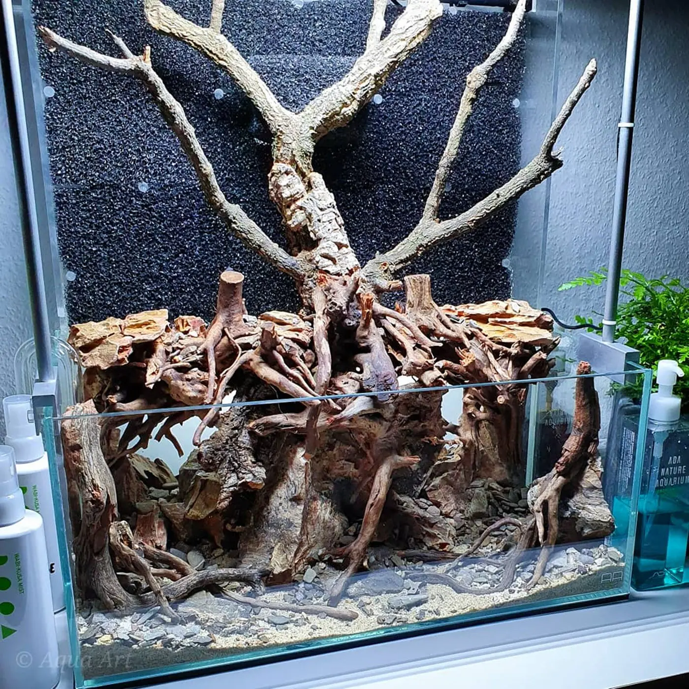 造景 119：绿色沼泽造景图片 6