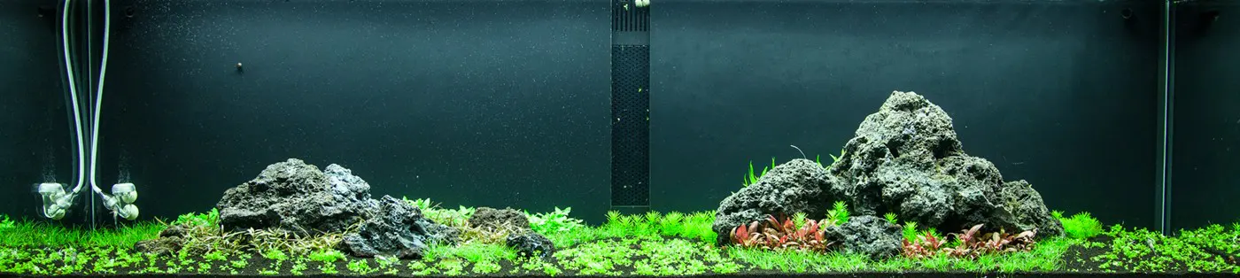 造景 94造景图片 3