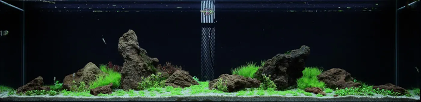 造景 53造景图片 3