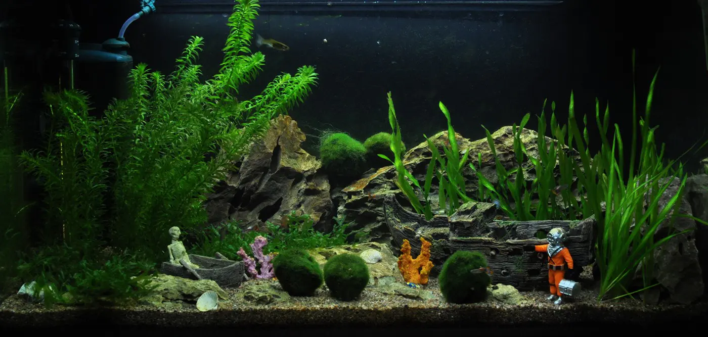 造景 15