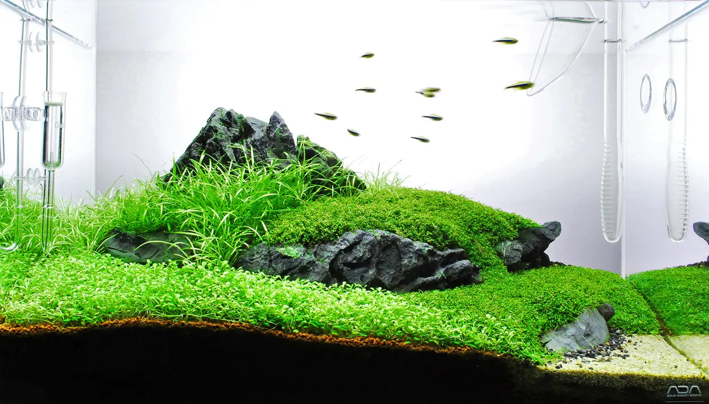 造景 59