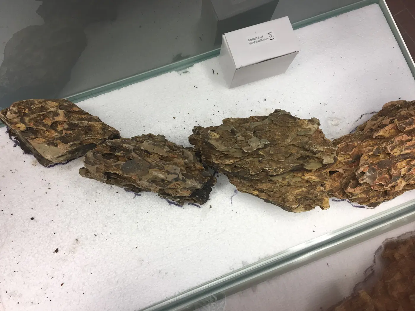 造景 118:寂静的力量造景图片 5