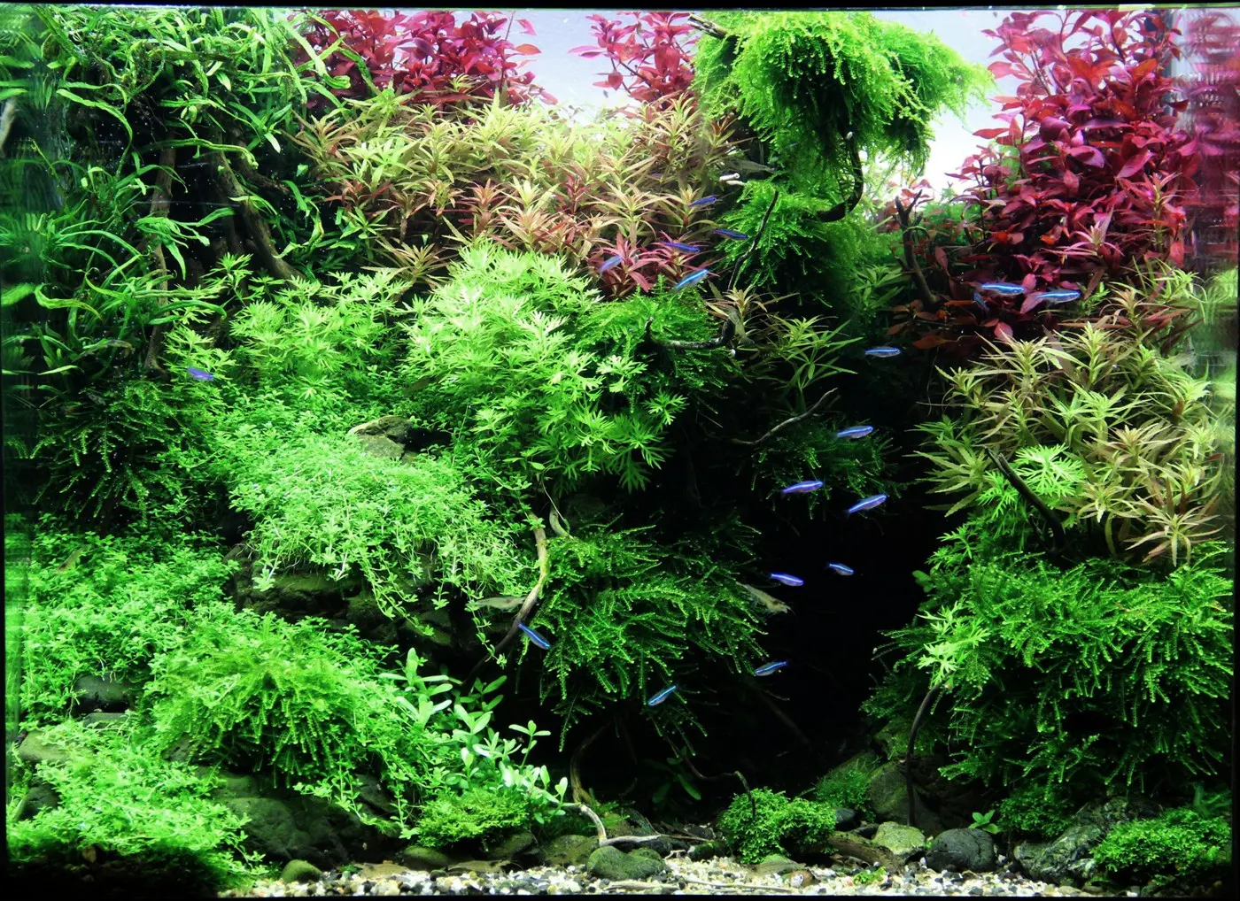 造景 83