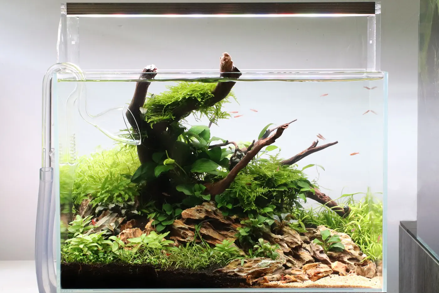 造景 115