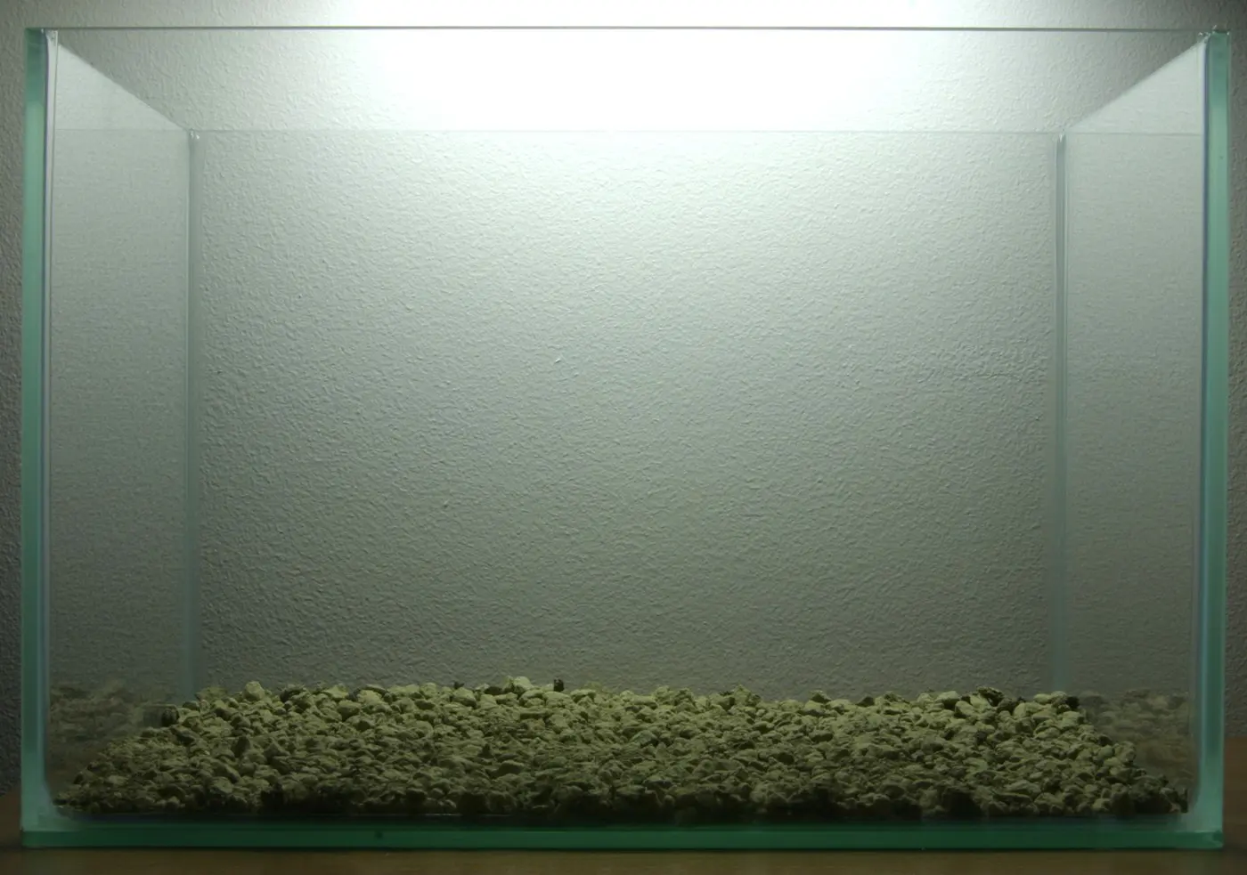 造景 5造景图片 3
