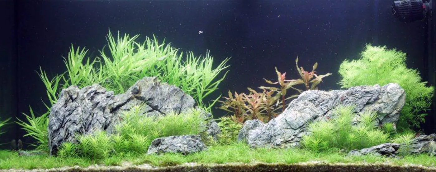 造景 70