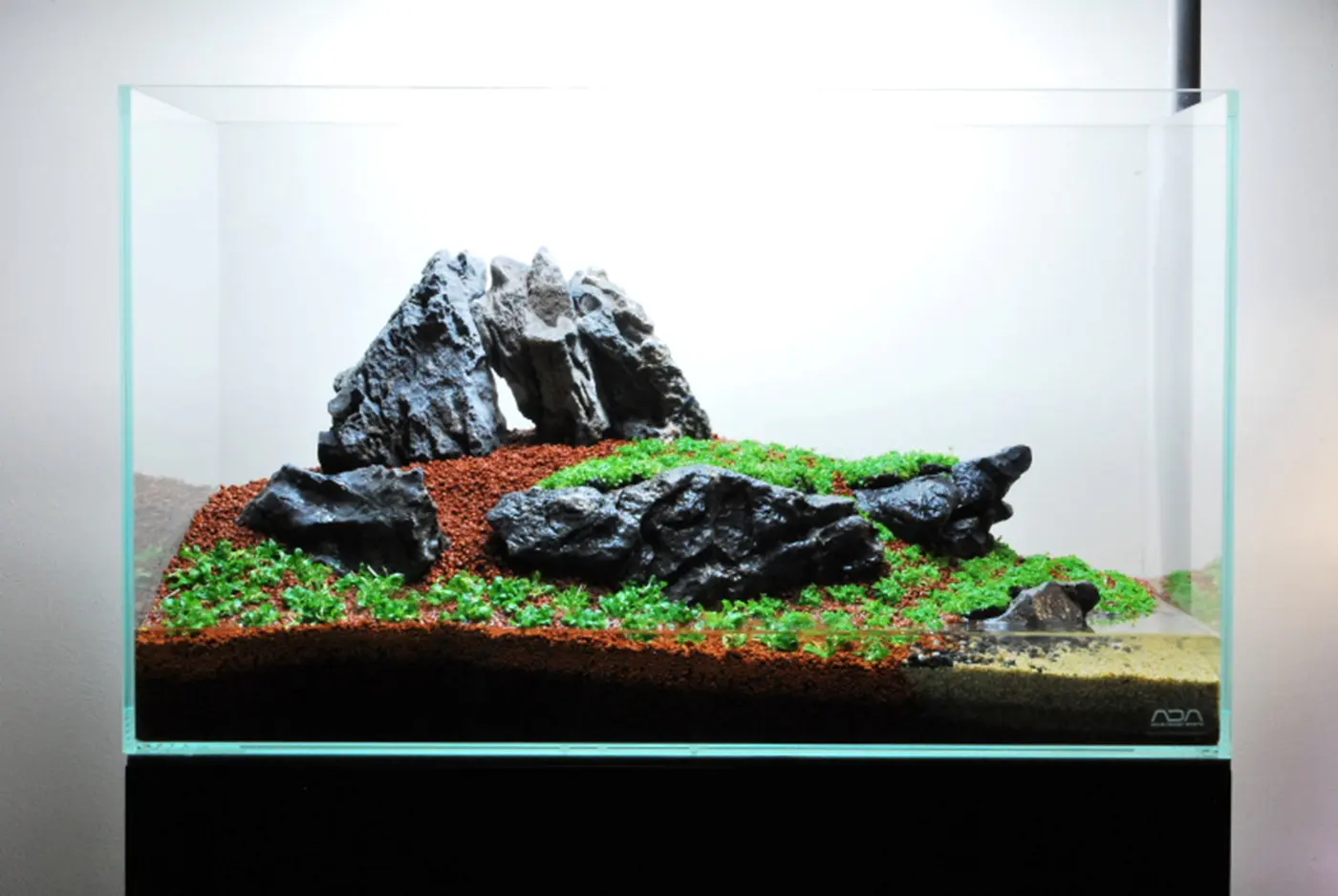 造景 59造景图片 22