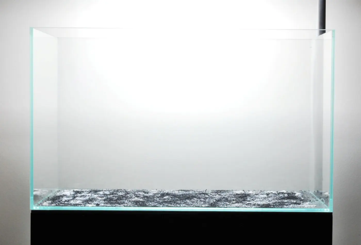 造景 59造景图片 6