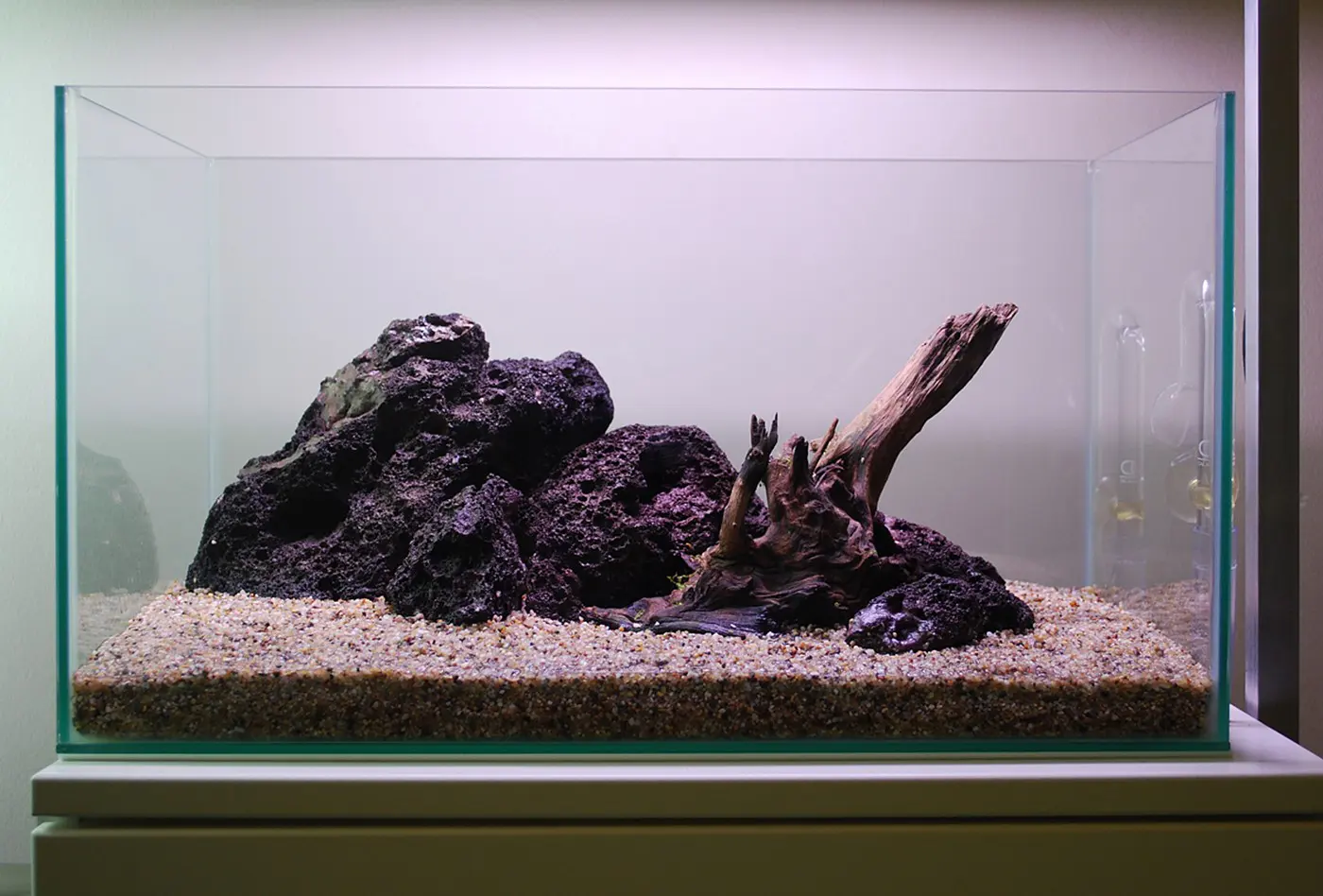 造景 104造景图片 8