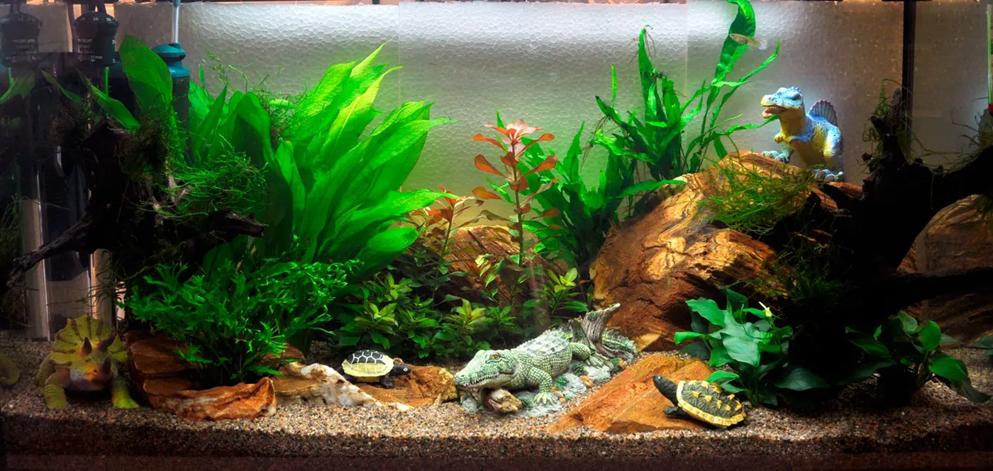 造景 4