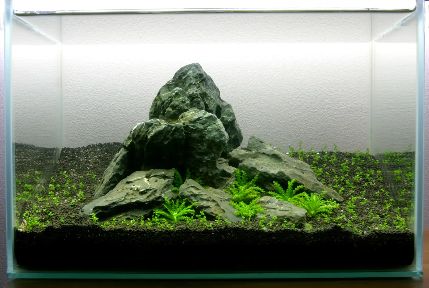 造景 5造景图片 6