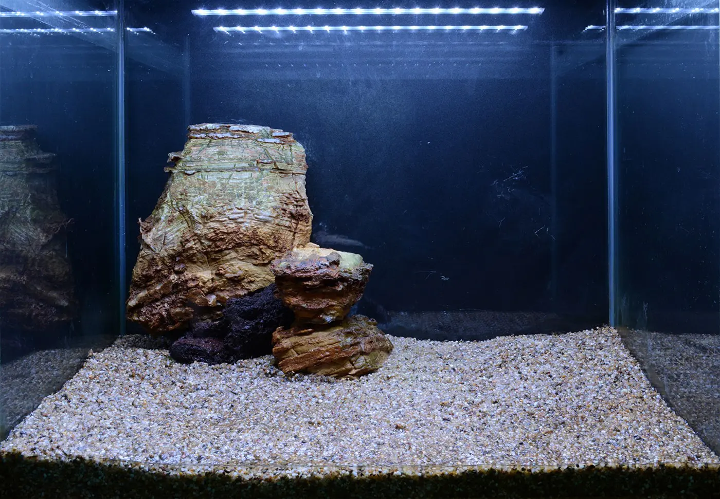 造景 107造景图片 7