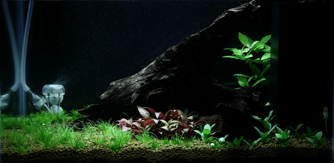 造景 93造景图片 3